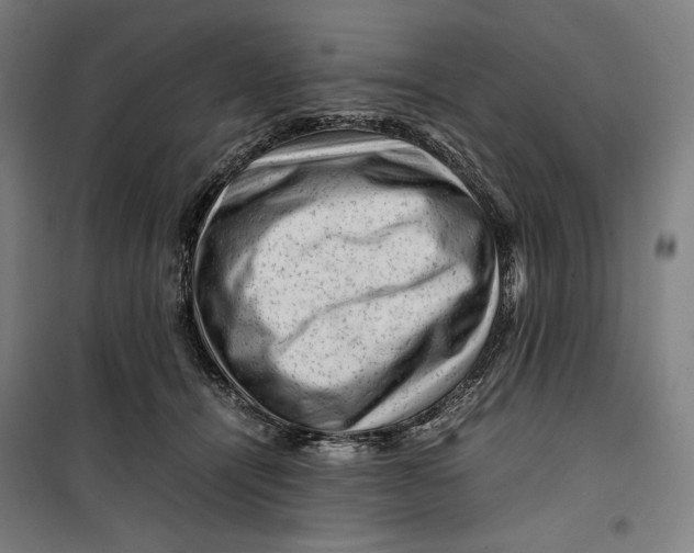 X0000099530464200806061436