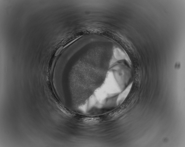 X0000099530465200806061436