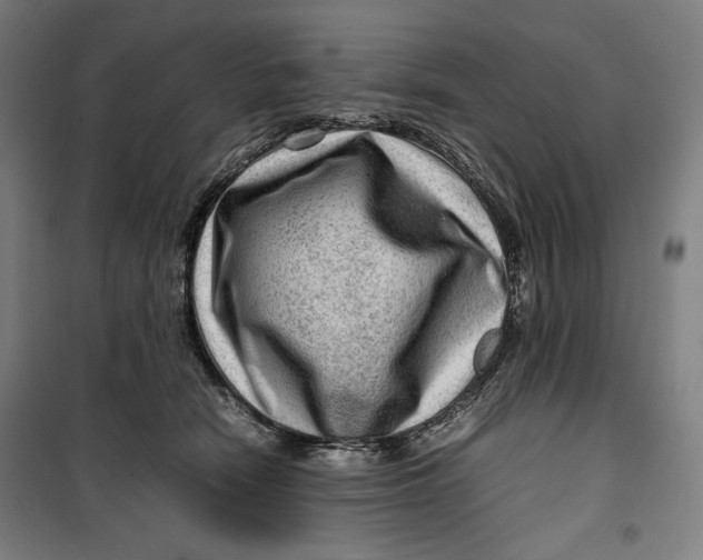 X0000099530466200806061436