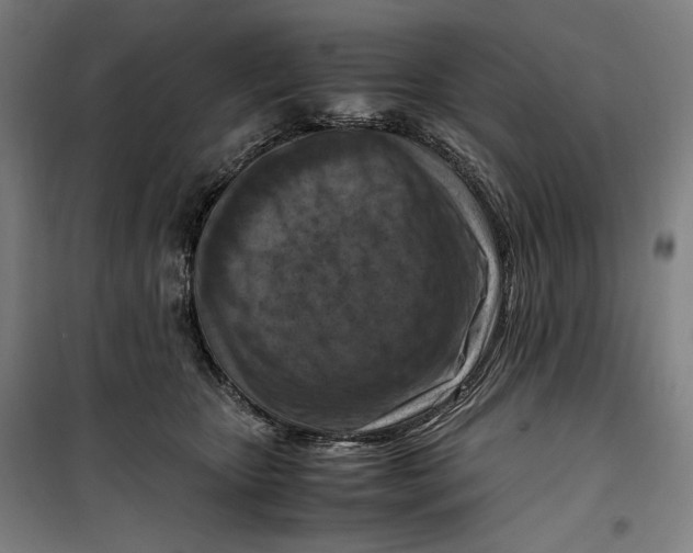 X0000099530467200806061436