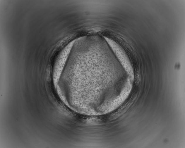 X0000099530468200806061436