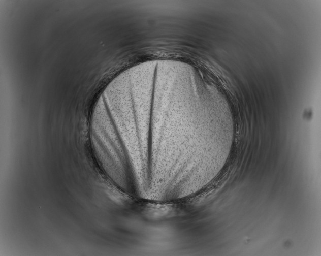 X0000099530469200806061436