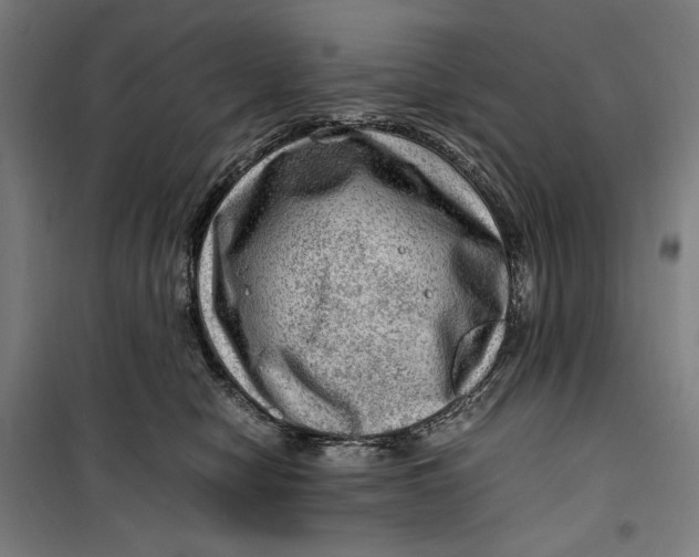 X0000099530470200806061436