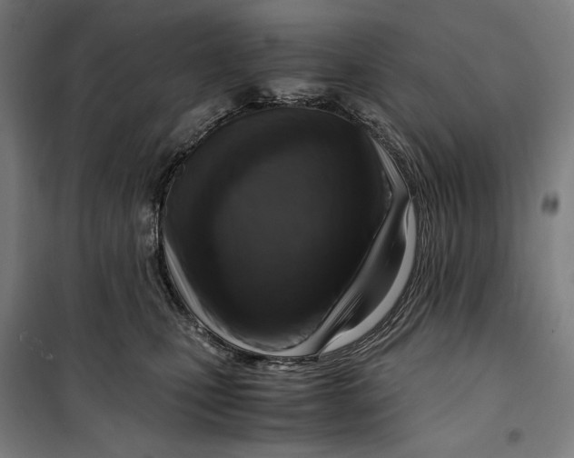 X0000099530471200806061436