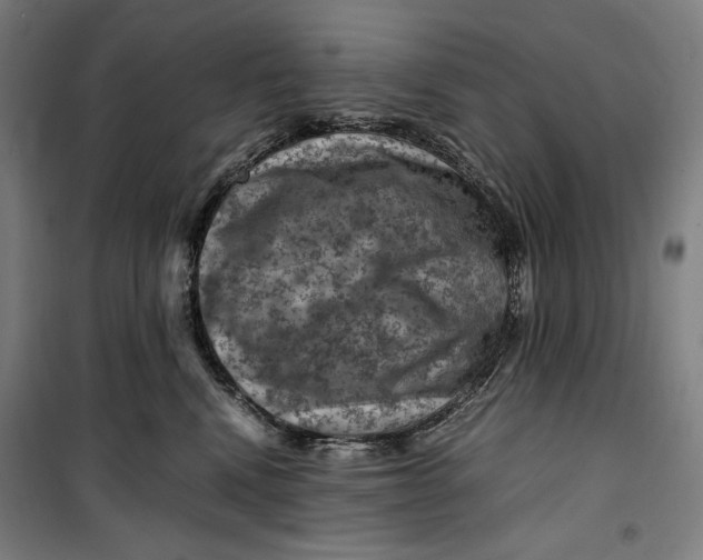 X0000099530472200806061436