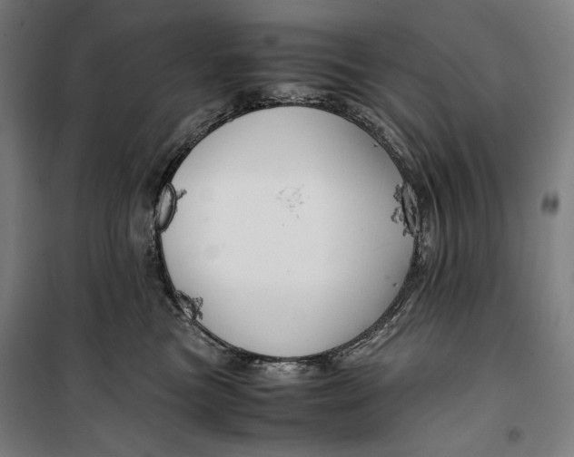 X0000099530473200806061436