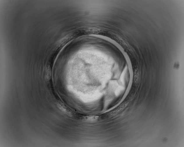 X0000099530474200806061436