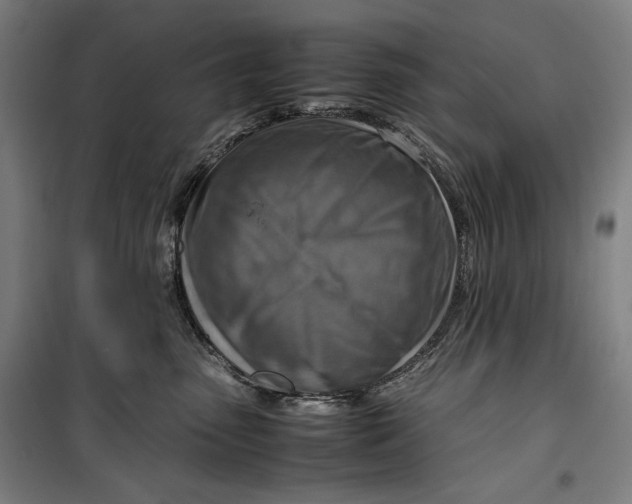 X0000099530475200806061436