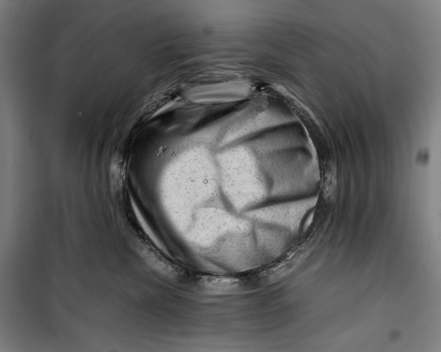 X0000099530476200806061436