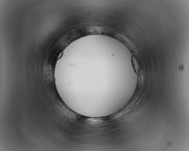 X0000099530477200806061436