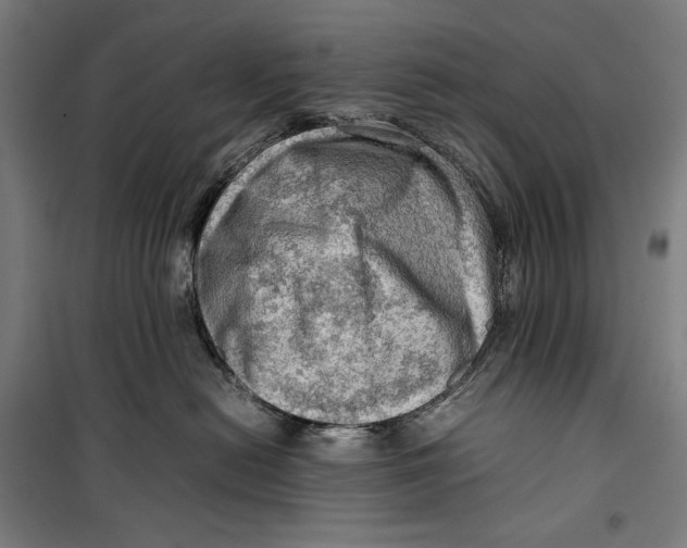 X0000099530478200806061436