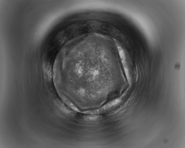 X0000099530479200806061436