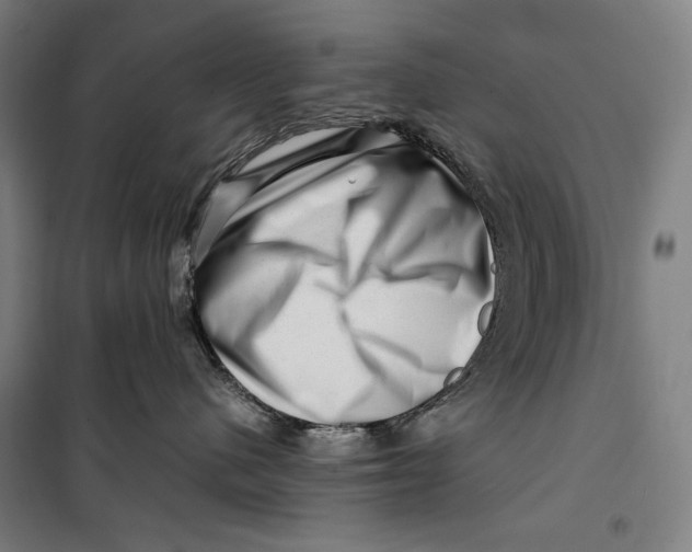 X0000099530480200806061436