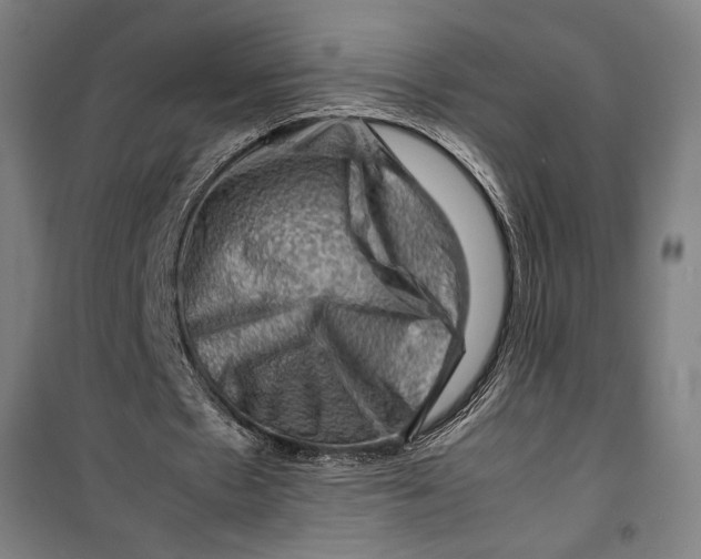 X0000099530481200806061435