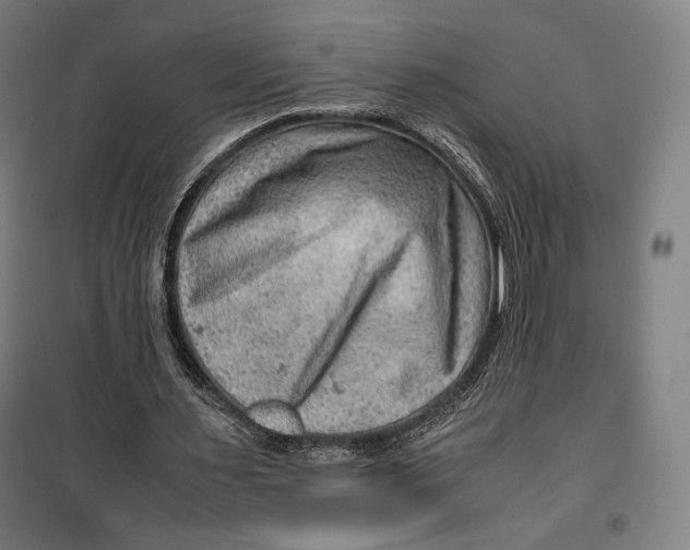 X0000099530483200806061435