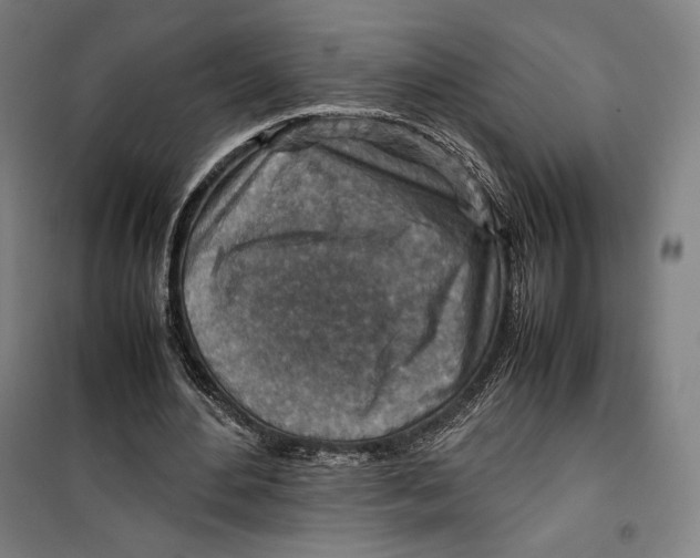 X0000099530484200806061435