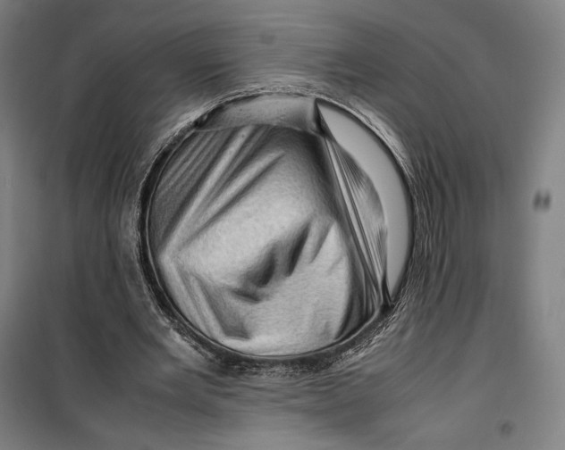 X0000099530485200806061435