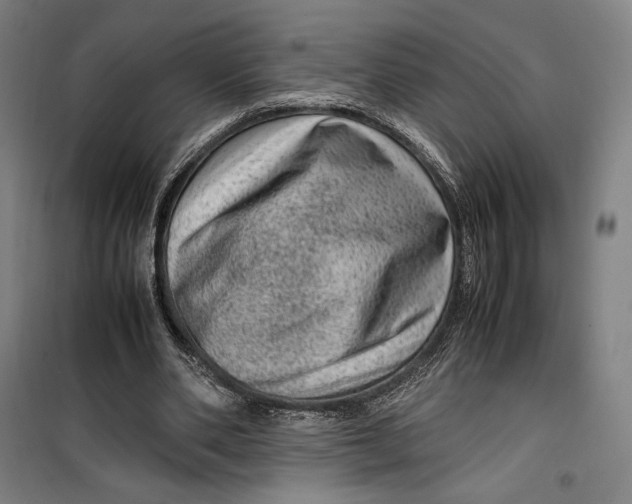 X0000099530486200806061435