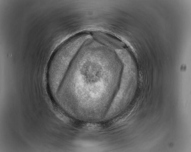 X0000099530487200806061435