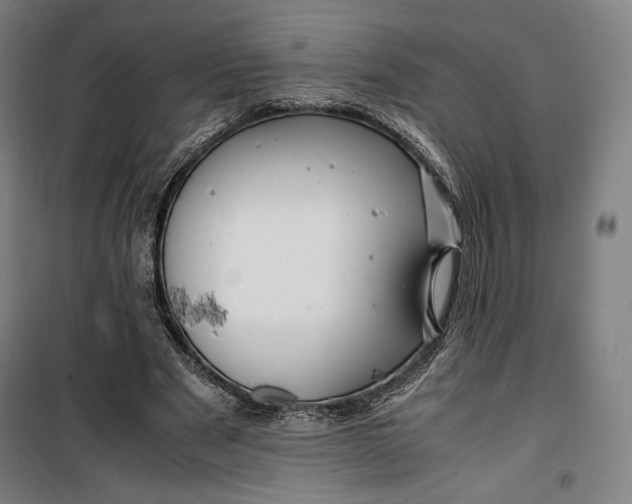 X0000099530489200806061435