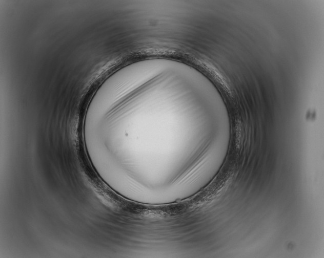 X0000099530490200806061435