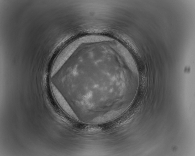 X0000099530491200806061435