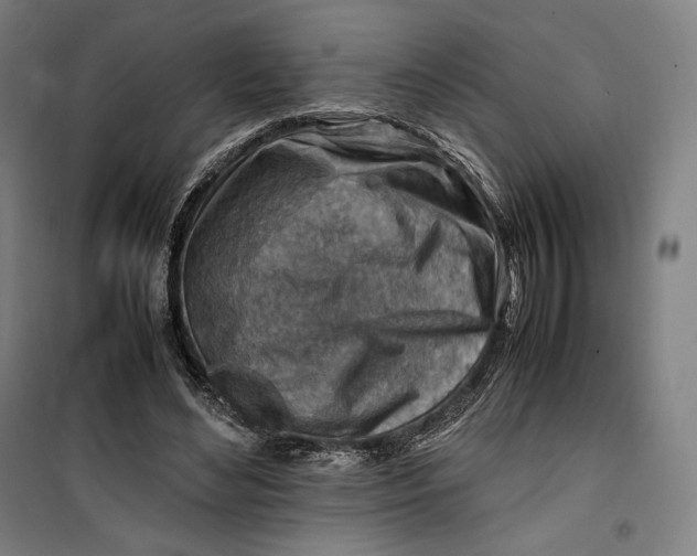 X0000099530492200806061435