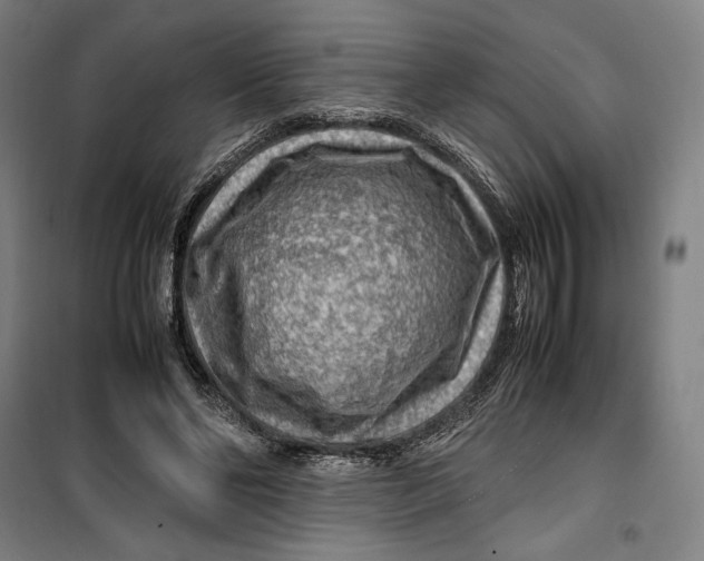 X0000099530494200806061435