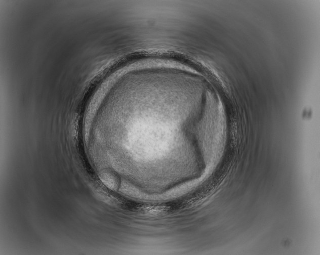 X0000099530495200806061435