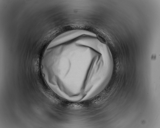 X0000099530498200806061435