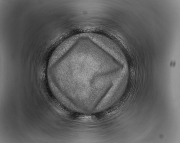 X0000099530499200806061435