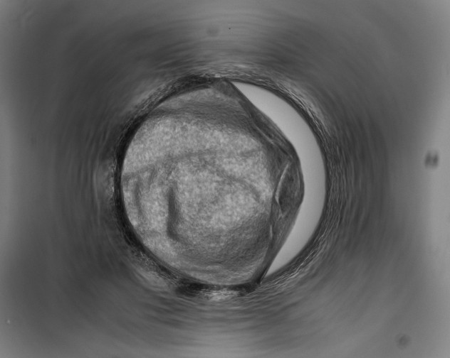 X0000099530501200806061435