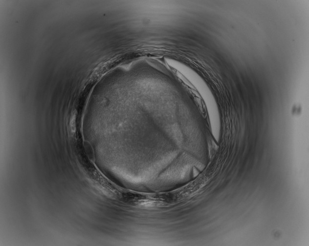 X0000099530504200806061435