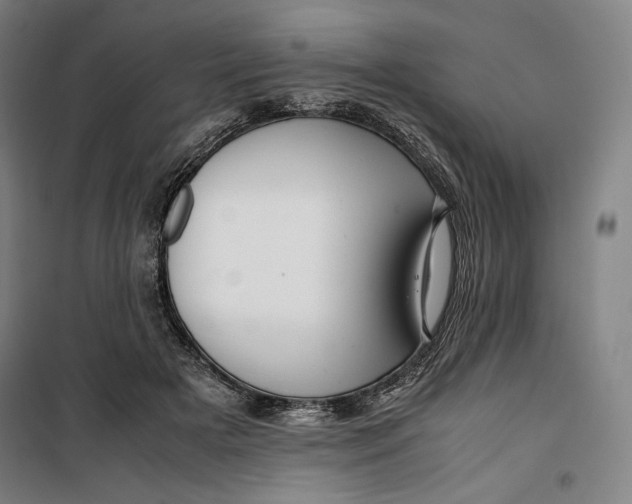 X0000099530505200806061435