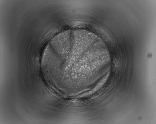 X0000099530506200806061435