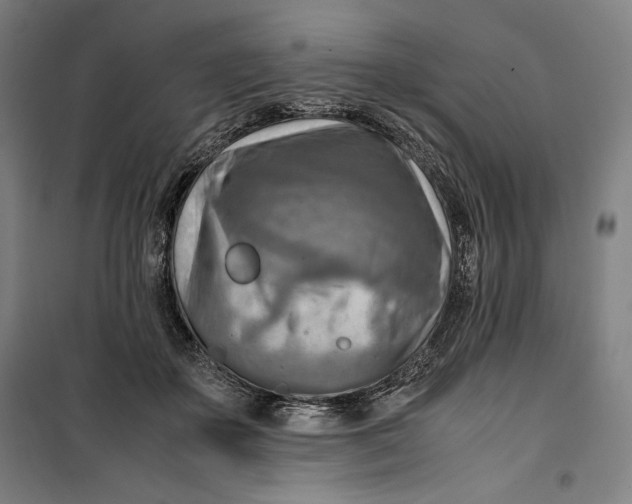 X0000099530507200806061435