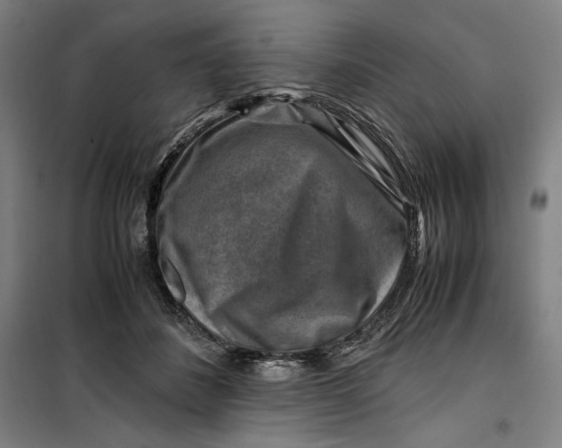 X0000099530508200806061435