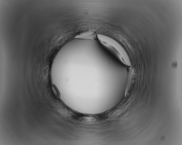 X0000099530509200806061435