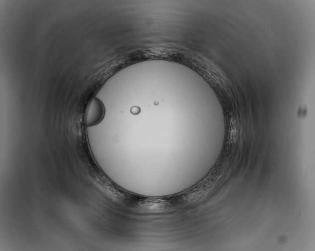 X0000099530514200806061435