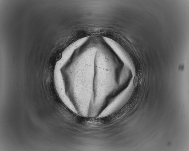 X0000099530515200806061434