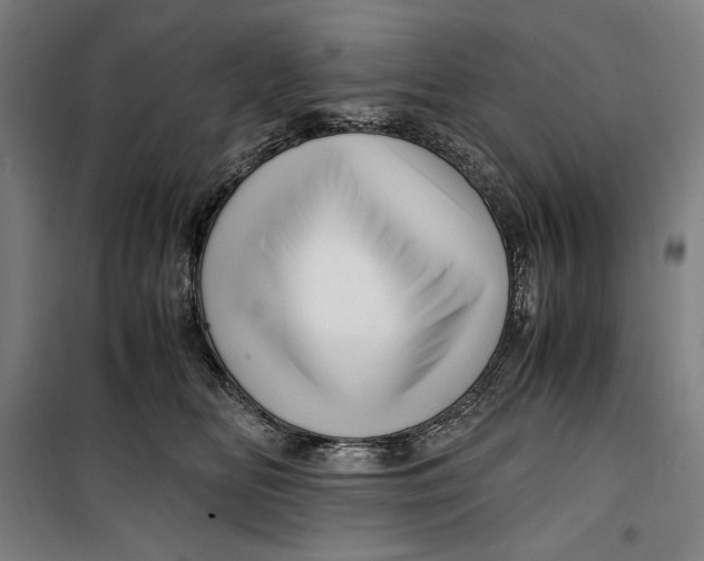 X0000099530518200806061434