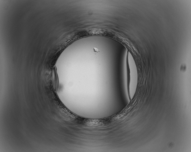 X0000099530521200806061434