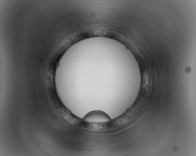 X0000099530522200806061434