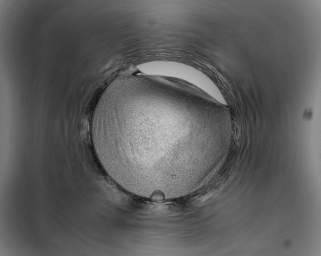 X0000099530523200806061434