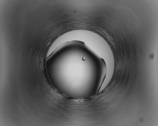 X0000099530524200806061434