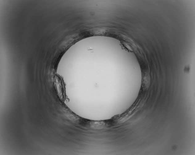 X0000099530525200806061434