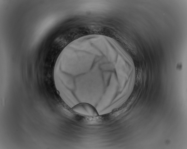 X0000099530526200806061434