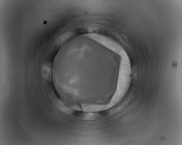 X0000099530527200806061434