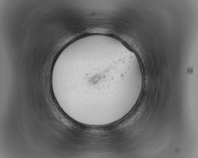 X0000099530529200806061434