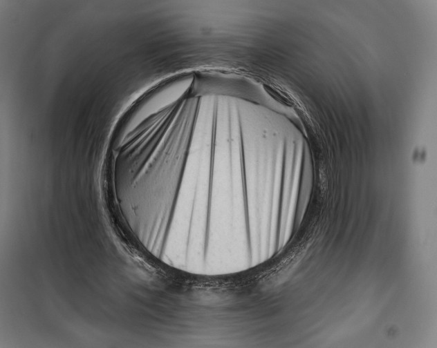 X0000099530532200806061434